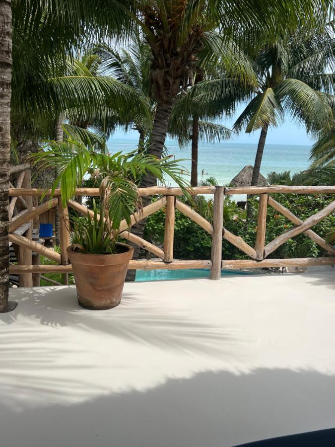 Casa Tom Tom - Adults Only Panzió Isla Holbox Kültér fotó
