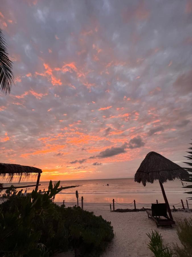 Casa Tom Tom - Adults Only Panzió Isla Holbox Kültér fotó