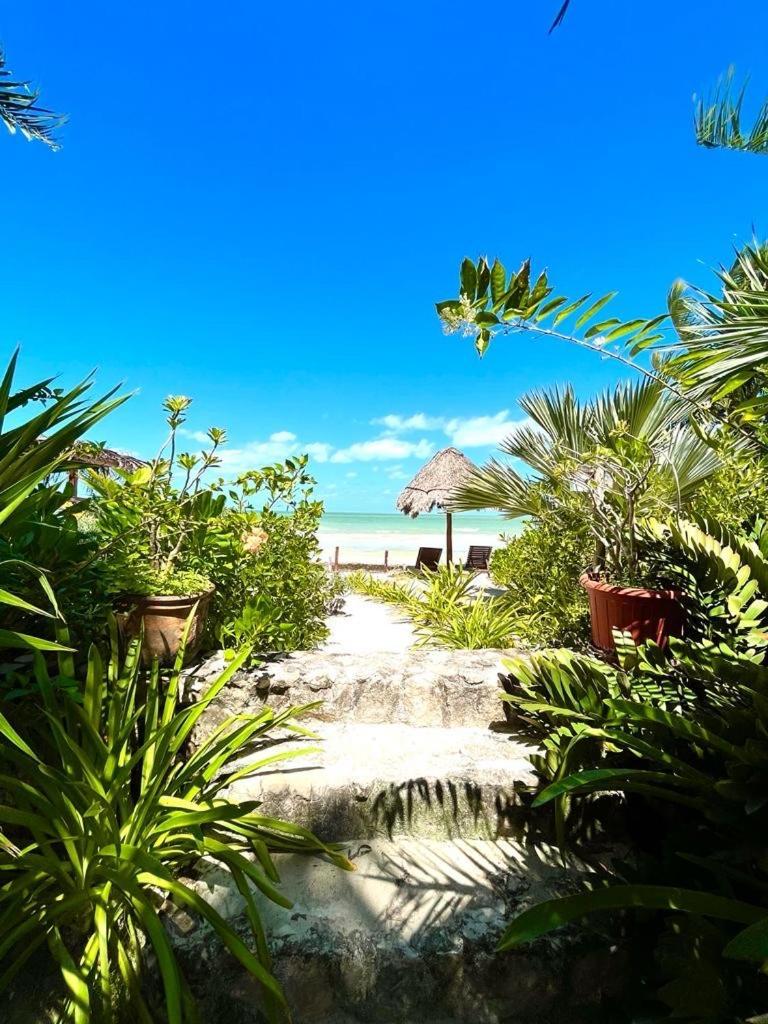 Casa Tom Tom - Adults Only Panzió Isla Holbox Kültér fotó