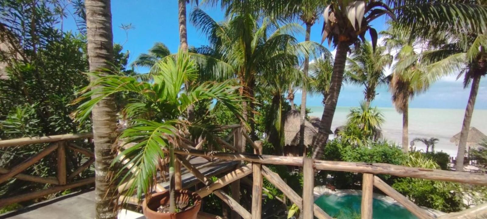 Casa Tom Tom - Adults Only Panzió Isla Holbox Kültér fotó