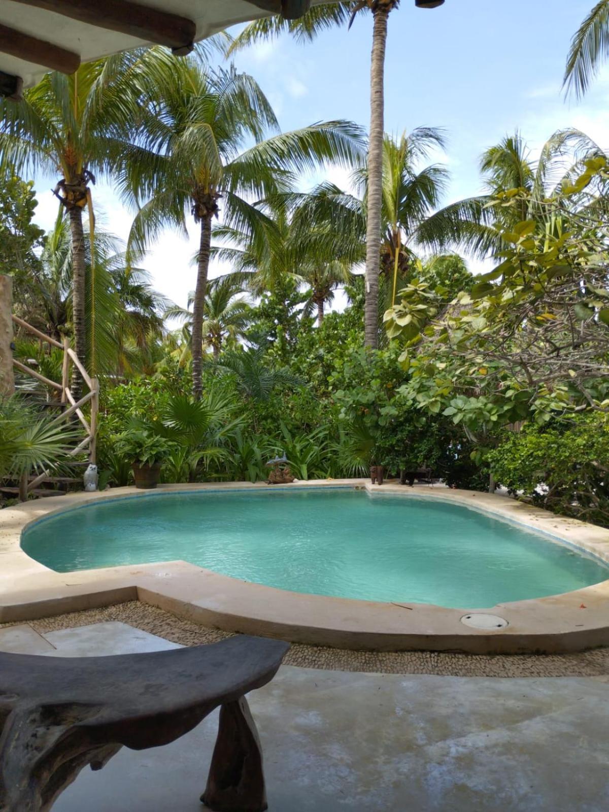 Casa Tom Tom - Adults Only Panzió Isla Holbox Kültér fotó